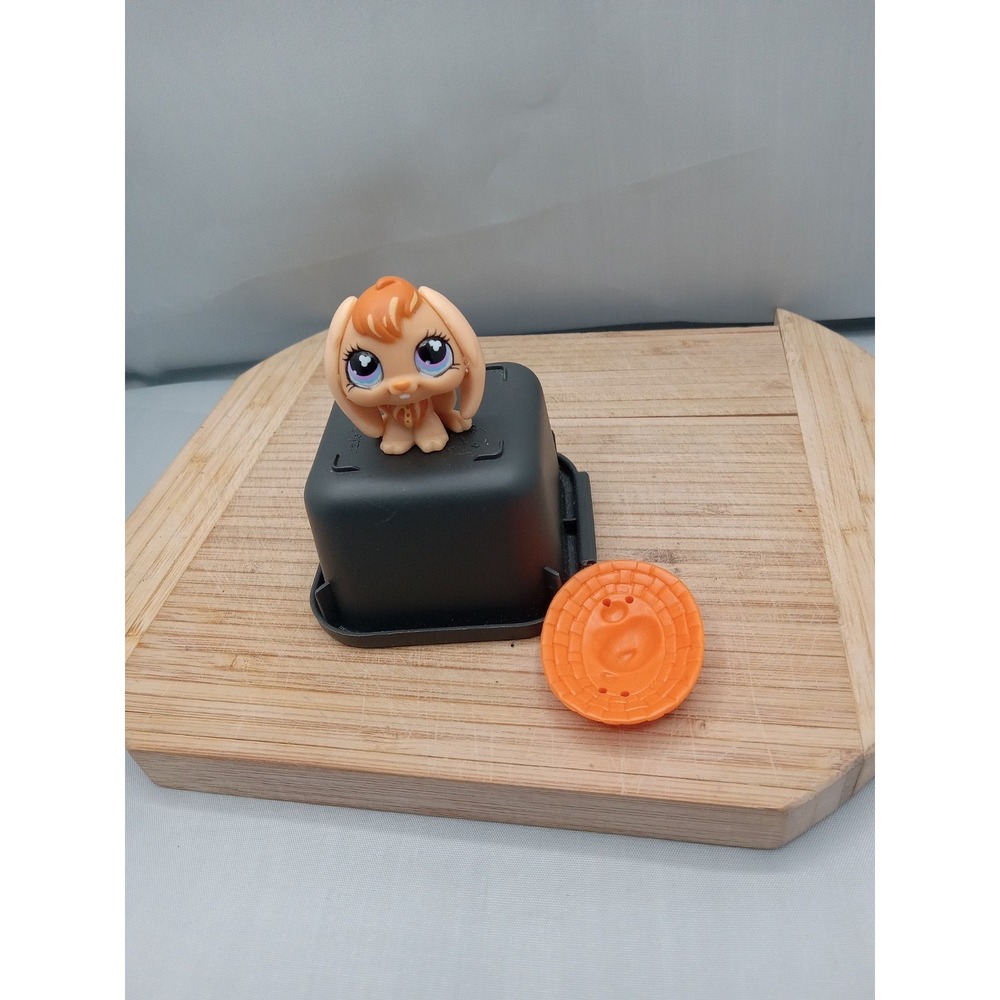 Littlest Pet Shop~#480~Bunny Rabbit~Lop Ears~Orange~Clover Eyes~Hat~Get Together - Picture 10 of 10